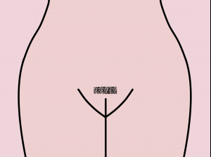 styles of pubic hair