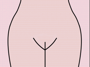Bare vulva with no pubic hair