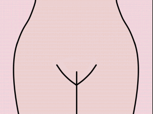 Brazilian Bare vulva with no pubic hair