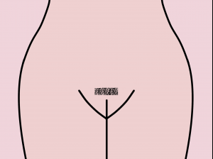 The Chaplin Pubic hair in a mustache-style shape