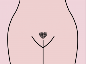 Female pubic hair in a heart shape