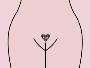 Female pubic hair in a heart shape Female pubic hair in a heart shape