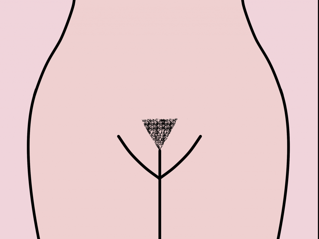 Female pubic hair in triangle shape. 