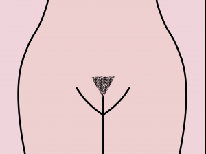 Female pubic hair in triangle shape