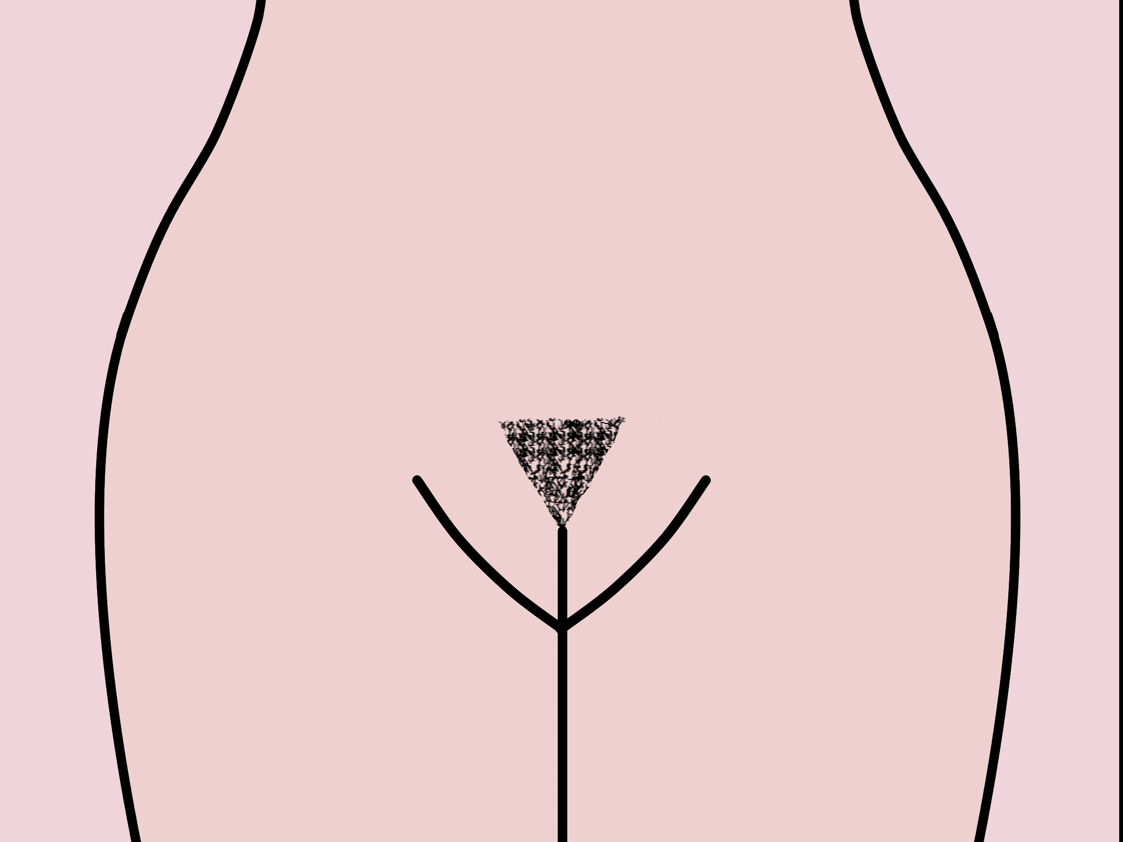 Triangle pussy hair